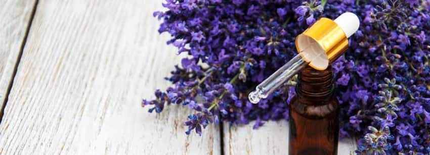 5 Mesmerizing Benefits Of Lavender Essential Oil That Are Hard To Miss