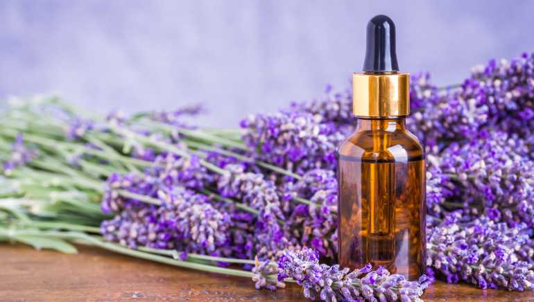 The Enchanting Concept Of Lavender Essential Oil