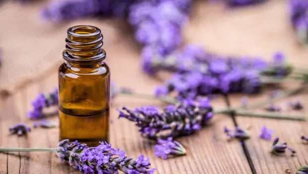 5 Ways To Use Lavender Essential Oils Safely