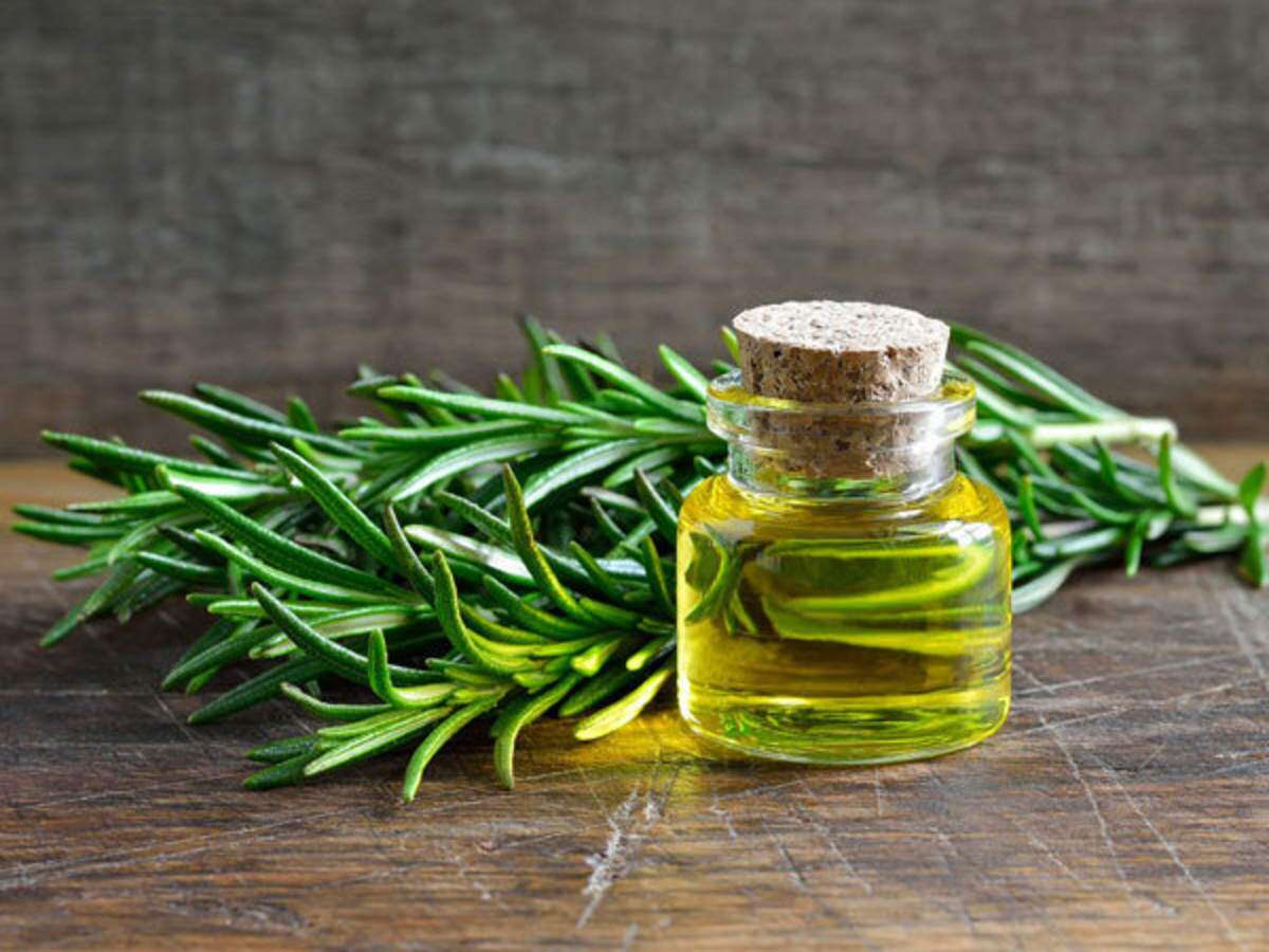 The Antidote You Need: Rosemary Essential Oil