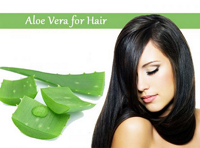 How Can You Use Aloe Vera Gel for Hair ?